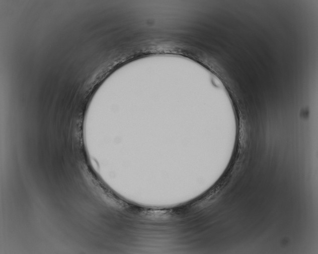 X0000115710449200912241547