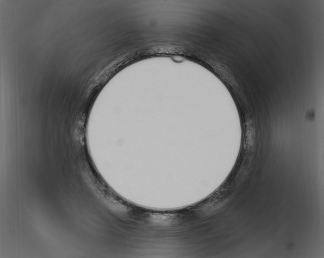 X0000115710450200912241547