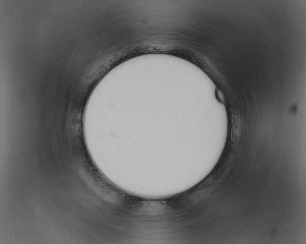 X0000115710451200912241547