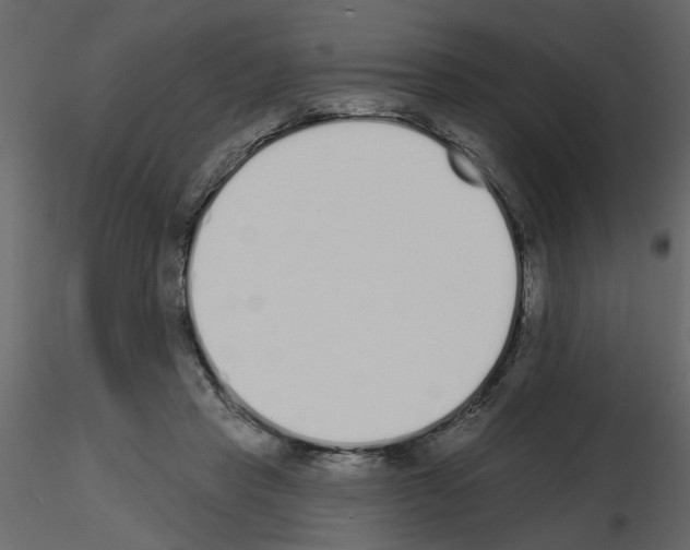 X0000115710453200912241547