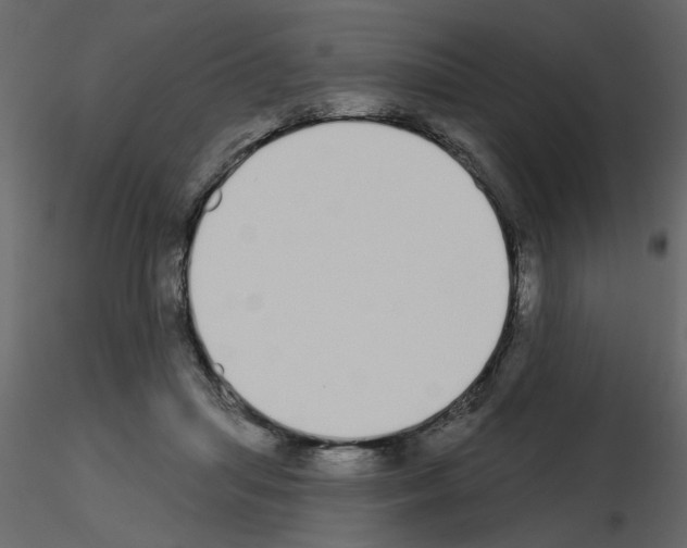 X0000115710455200912241547