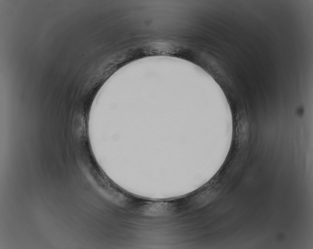 X0000115710459200912241547