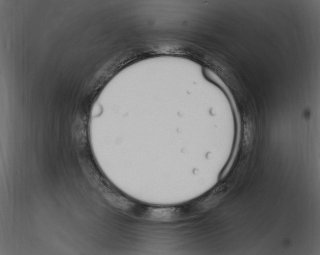 X0000115710461200912241547