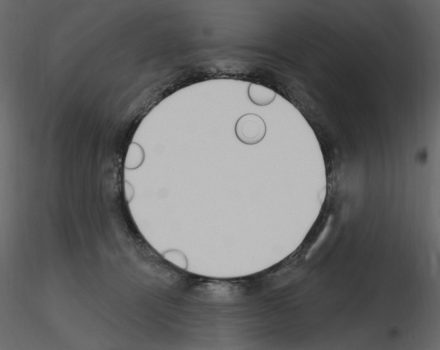 X0000115710464200912241547