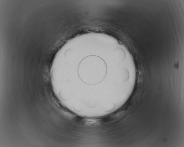 X0000115710465200912241547