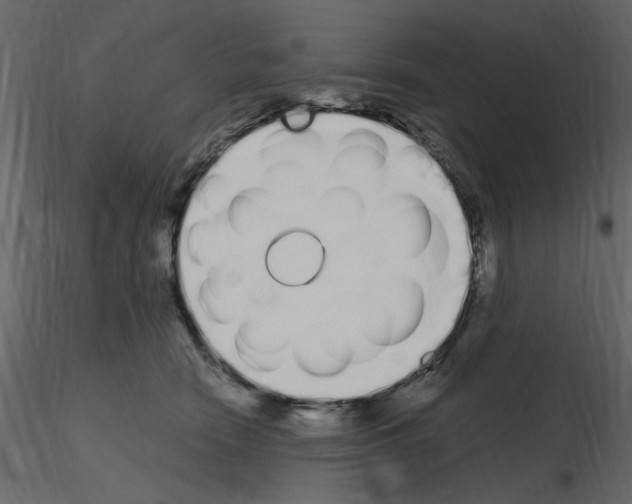 X0000115710466200912241547