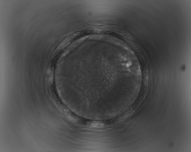 X0000115710471200912241547