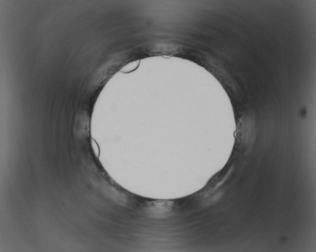 X0000115710474200912241547