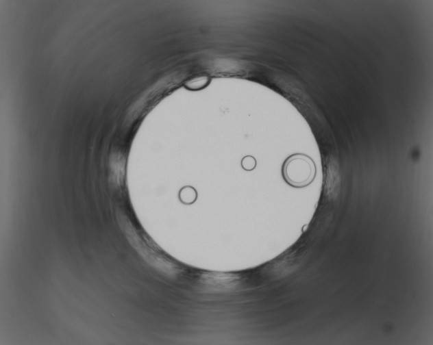 X0000115710476200912241547