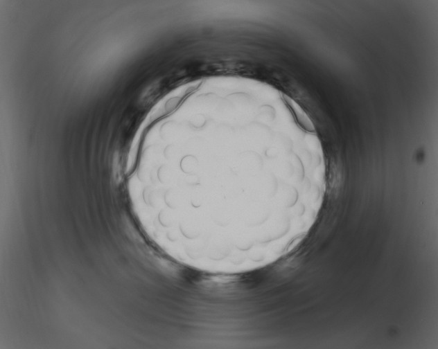 X0000115710478200912241547