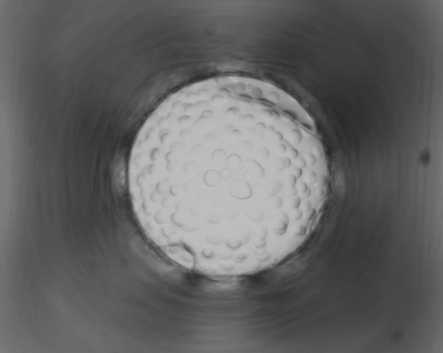 X0000115710479200912241547