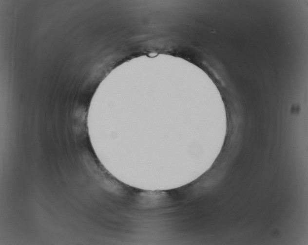 X0000115710480200912241547