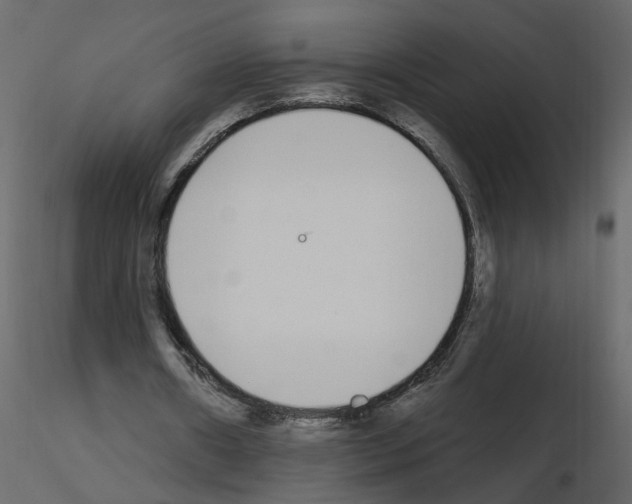 X0000115710482200912241547