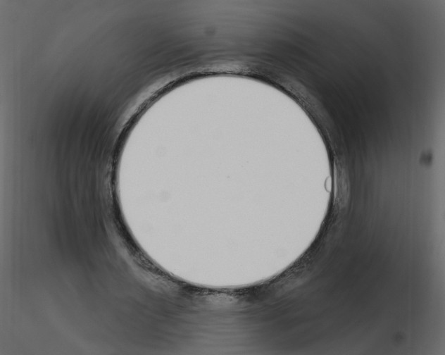 X0000115710483200912241547