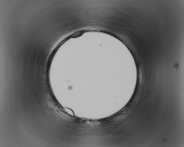 X0000115710484200912241547