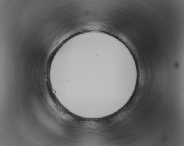 X0000115710486200912241547