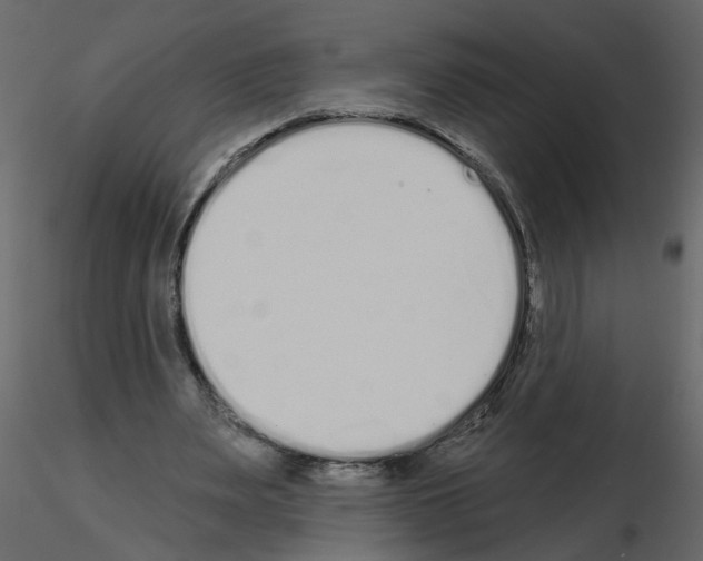 X0000115710487200912241547