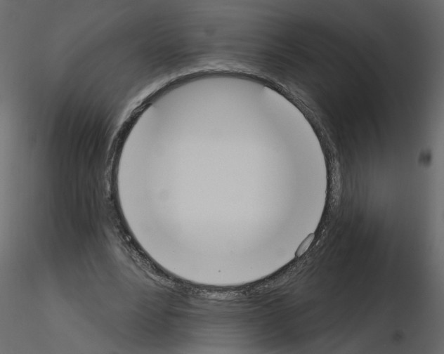 X0000115710488200912241547