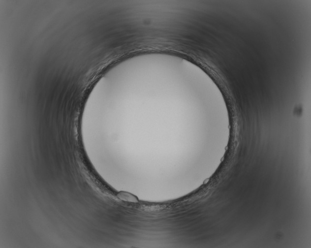 X0000115710489200912241547