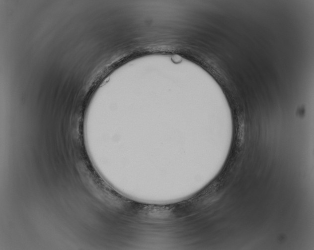 X0000115710491200912241547