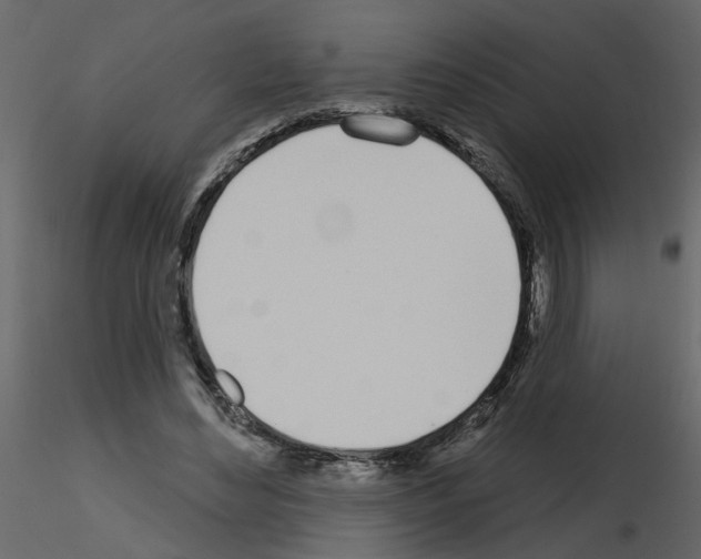 X0000115710492200912241547