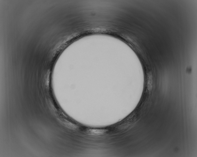 X0000115710495200912241547