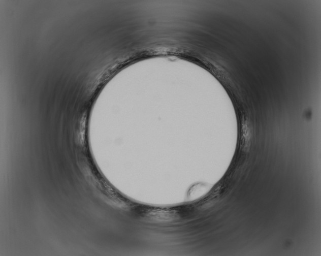 X0000115710499200912241547