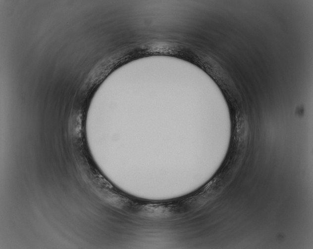 X0000115710502200912241546