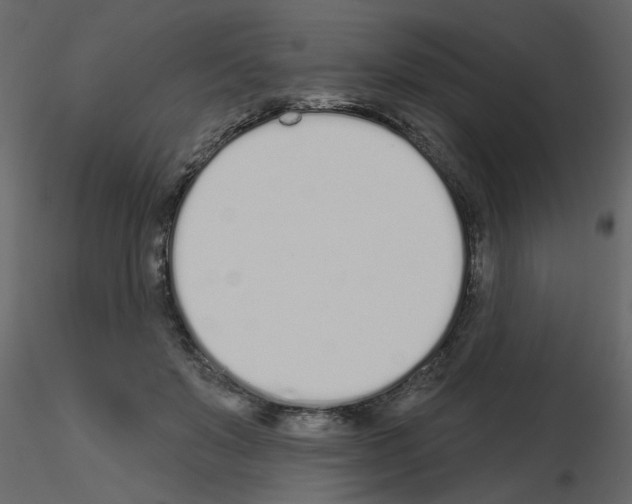 X0000115710503200912241546