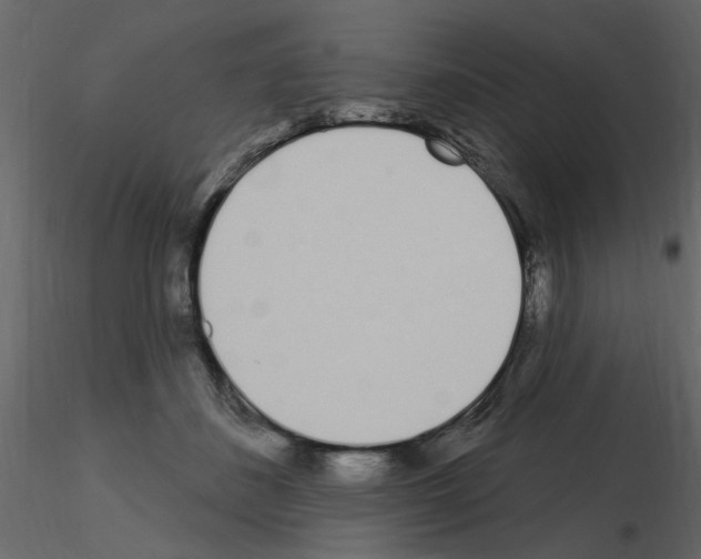 X0000115710508200912241546