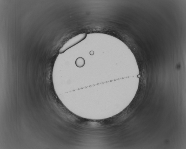 X0000115710509200912241546