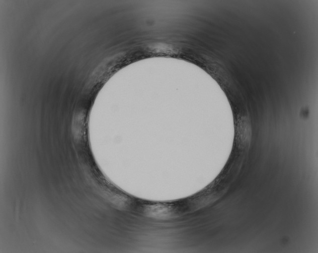 X0000115710511200912241546