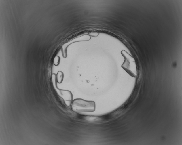 X0000115710517200912241546