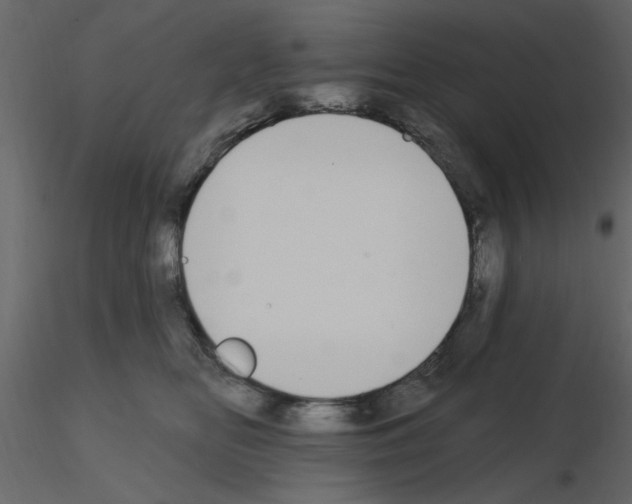 X0000115710518200912241546