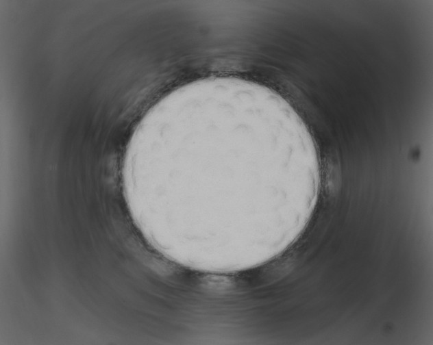 X0000115710519200912241546