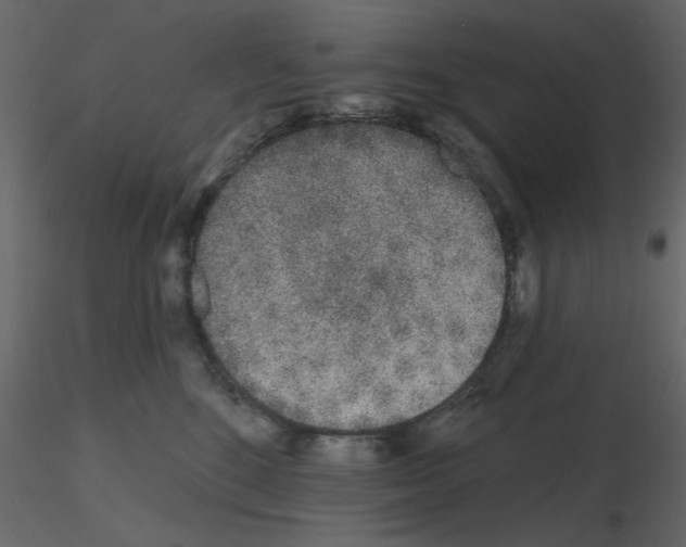 X0000115710520200912241546