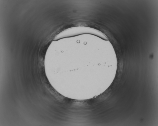 X0000115710521200912241546