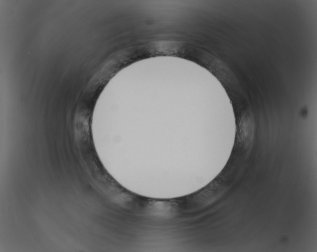 X0000115710522200912241546