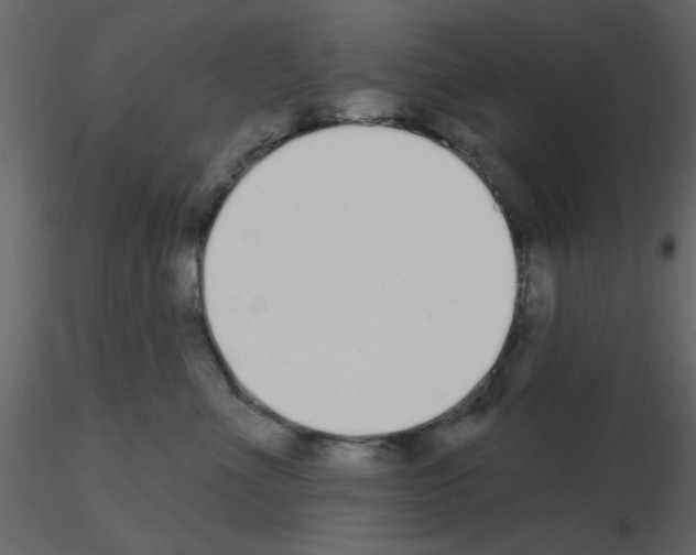 X0000115710523200912241546