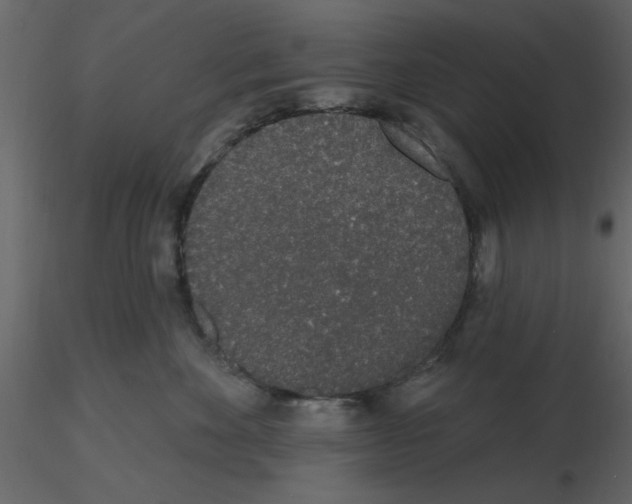 X0000115710524200912241546