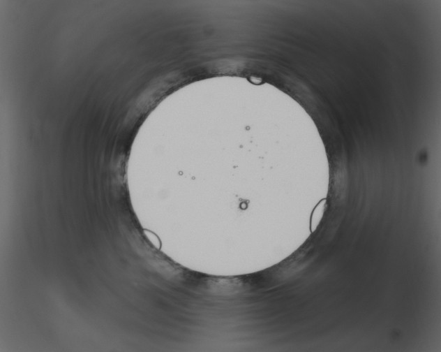 X0000115710525200912241546