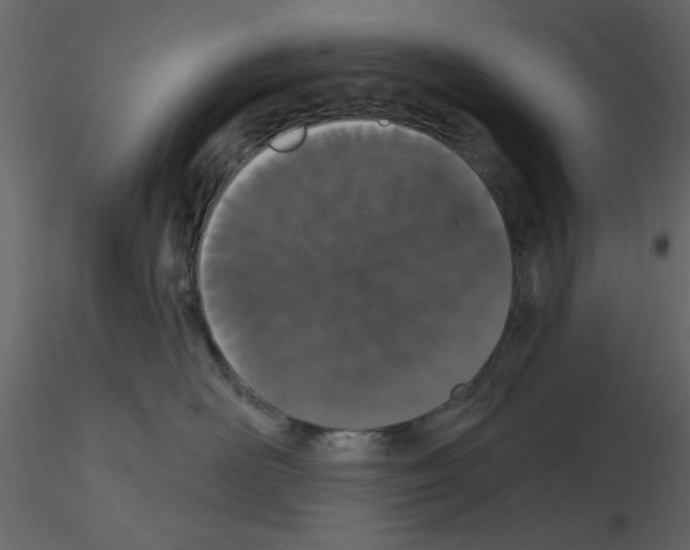 X0000115710526200912241546