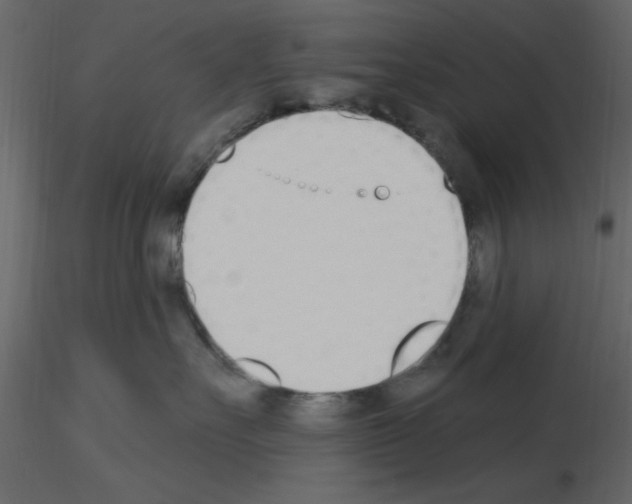 X0000115710527200912241546