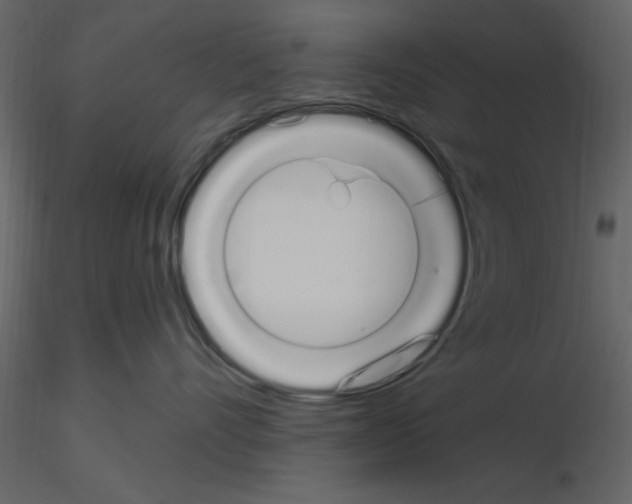 X0000115710528200912241546