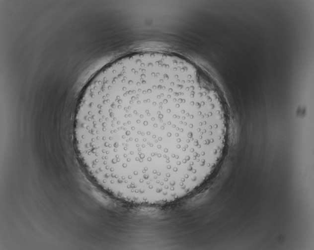 X0000115710529200912241545