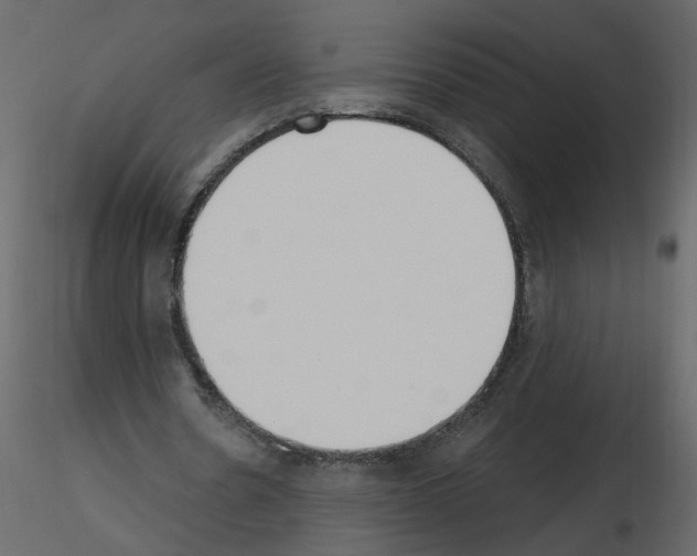 X0000115710530200912241545