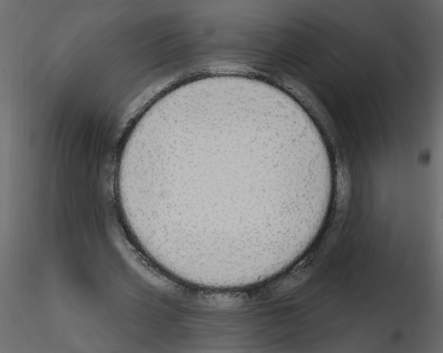 X0000115710533200912241546