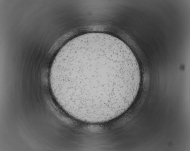 X0000115710537200912241546