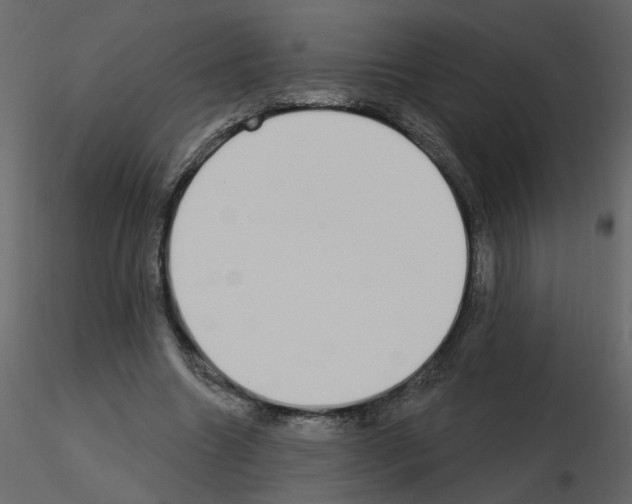 X0000115710538200912241546