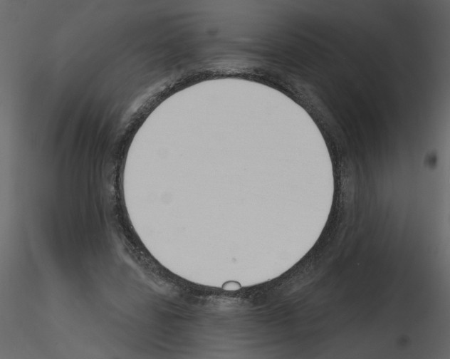 X0000115710539200912241546